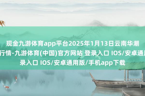 现金九游体育app平台2025年1月13日云南华潮实业有限公司价钱行情-九游体育(中国)官方网站 登录入口 IOS/安卓通用版/手机app下载