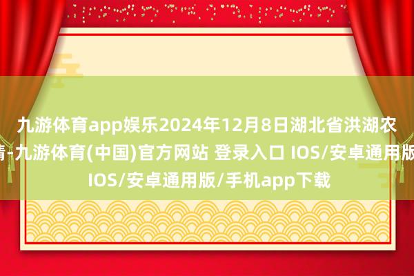九游体育app娱乐2024年12月8日湖北省洪湖农贸市集价钱行情-九游体育(中国)官方网站 登录入口 IOS/安卓通用版/手机app下载