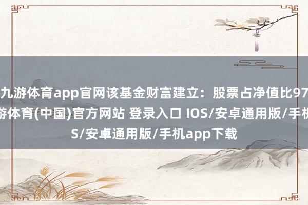 九游体育app官网该基金财富建立：股票占净值比97.31%-九游体育(中国)官方网站 登录入口 IOS/安卓通用版/手机app下载